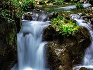 張家界旅游重大發(fā)現：無冬天更無夏天——張家界地縫景區(qū)
